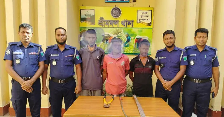 গ্রেপ্তার হওয়া তিনজন
